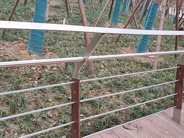 鋼絲繩護欄